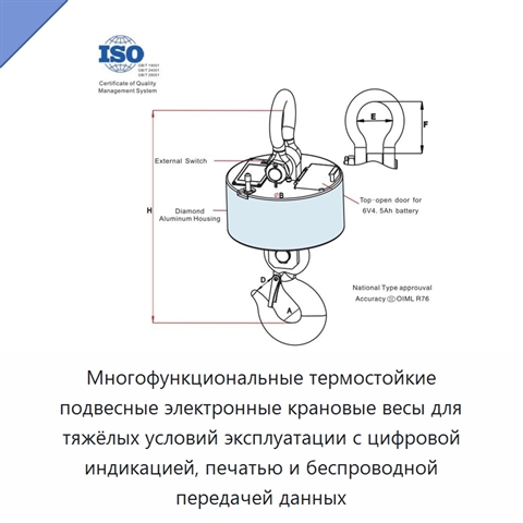 Многофункциональные термостойкие подвесные электронные крановые весы для тяжёлых условий эксплуатации с цифровой индикацией, печатью и беспроводной передачей данных