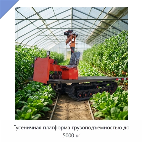 Гусеничная платформа грузоподъёмностью до 5000 кг