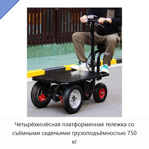 Четырёхколёсная платформенная тележка со съёмными сиденьями грузоподъёмностью 750 кг