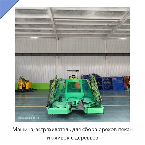 Машина-встряхиватель для сбора орехов пекан и оливок с деревьев