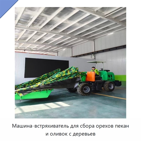 Машина-встряхиватель для сбора орехов пекан и оливок с деревьев