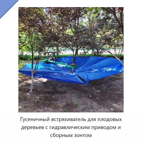 Гусеничный встряхиватель для плодовых деревьев с гидравлическим приводом и сборным зонтом