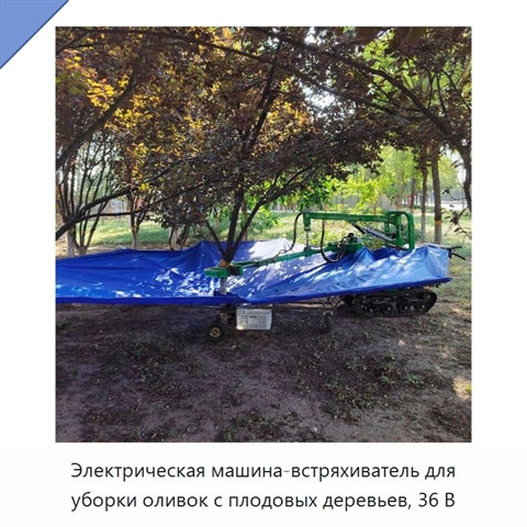 Электрическая машина-встряхиватель для уборки оливок с плодовых деревьев, 36 В