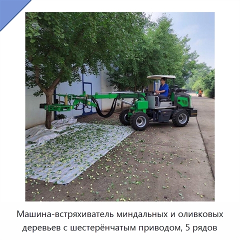 Машина-встряхиватель миндальных и оливковых деревьев с шестерёнчатым приводом, 5 рядов