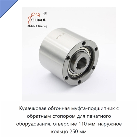 Кулачковая обгонная муфта-подшипник с обратным стопором для печатного оборудования, отверстие 110 мм, наружное кольцо 250 мм