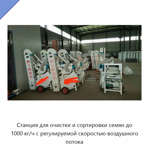 Станция для очистки и сортировки семян до 1000 кг/ч с регулируемой скоростью воздушного потока