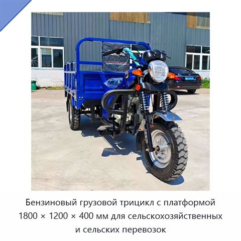 Бензиновый грузовой трицикл с платформой 1800 × 1200 × 400 мм для сельскохозяйственных и сельских перевозок