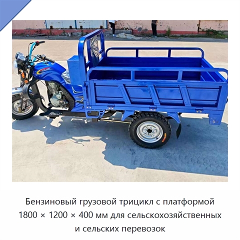 Бензиновый грузовой трицикл с платформой 1800 × 1200 × 400 мм для сельскохозяйственных и сельских перевозок