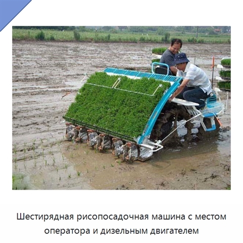 Шестирядная рисопосадочная машина с местом оператора и дизельным двигателем