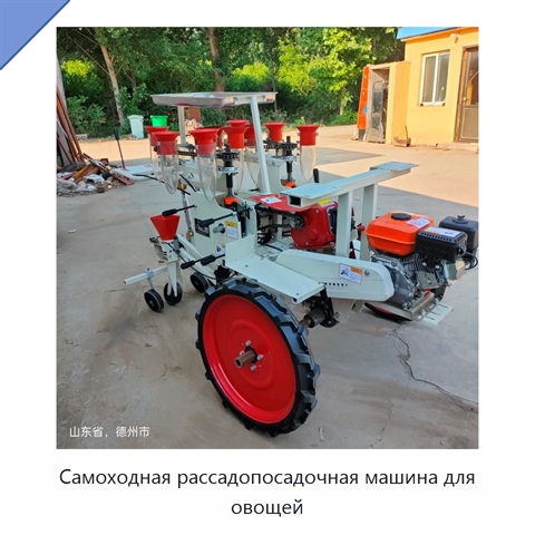 Самоходная рассадопосадочная машина для овощей