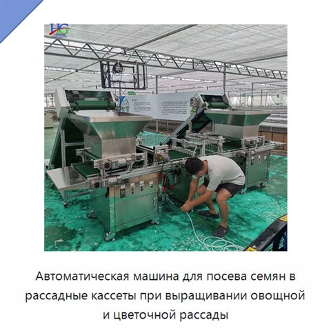 Автоматическая машина для посева семян в рассадные кассеты при выращивании овощной и цветочной рассады