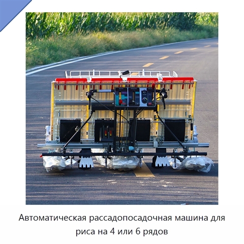 Автоматическая рассадопосадочная машина для риса на 4 или 6 рядов