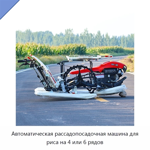 Автоматическая рассадопосадочная машина для риса на 4 или 6 рядов