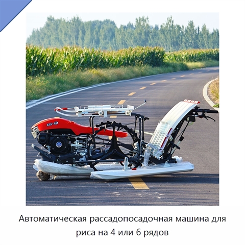 Автоматическая рассадопосадочная машина для риса на 4 или 6 рядов