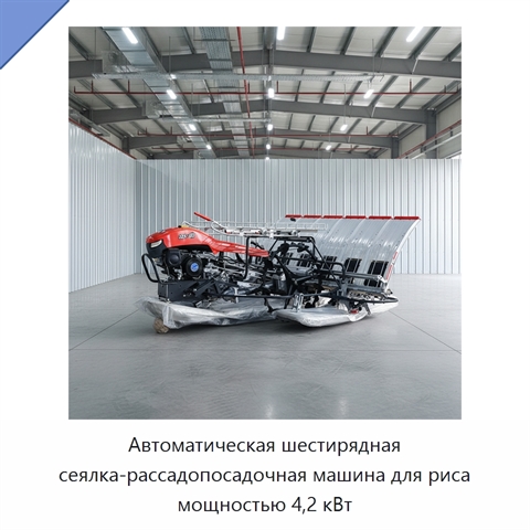 Автоматическая шестирядная сеялка-рассадопосадочная машина для риса мощностью 4,2 кВт
