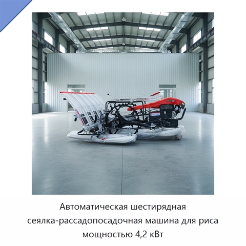 Автоматическая шестирядная сеялка-рассадопосадочная машина для риса мощностью 4,2 кВт