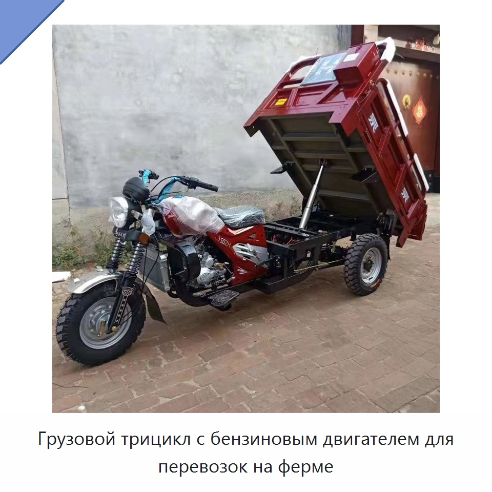 Грузовой трицикл с бензиновым двигателем для перевозок на ферме
