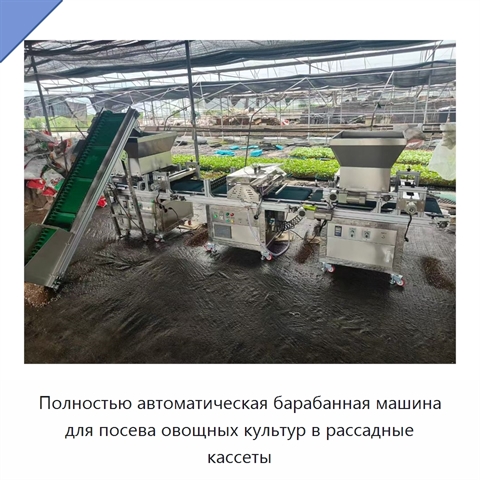 Полностью автоматическая барабанная машина для посева овощных культур в рассадные кассеты