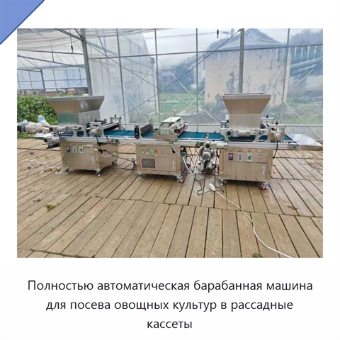 Полностью автоматическая барабанная машина для посева овощных культур в рассадные кассеты