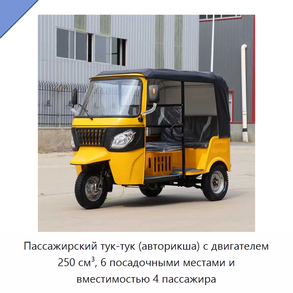 Пассажирский тук-тук (авторикша) с двигателем 250 см³, 6 посадочными местами и вместимостью 4 пассажира — Промышленное оборудование
