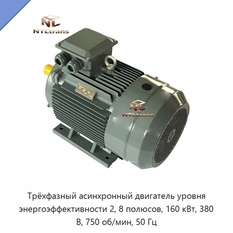 Трёхфазный асинхронный двигатель уровня энергоэффективности 2, 8 полюсов, 160 кВт, 380 В, 750 об/мин, 50 Гц