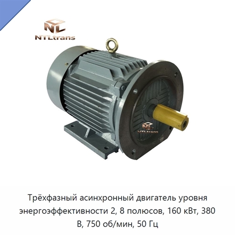 Трёхфазный асинхронный двигатель уровня энергоэффективности 2, 8 полюсов, 160 кВт, 380 В, 750 об/мин, 50 Гц