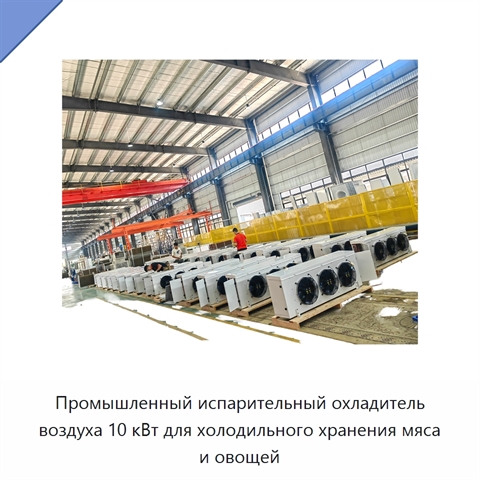 Промышленный испарительный охладитель воздуха 10 кВт для холодильного хранения мяса и овощей