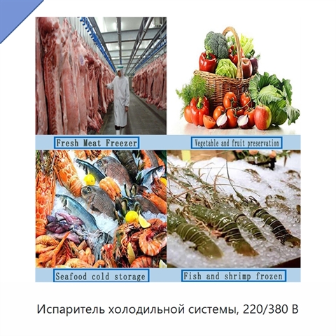 Испаритель холодильной системы, 220/380 В