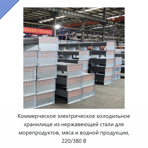 Коммерческое электрическое холодильное хранилище из нержавеющей стали для морепродуктов, мяса и водной продукции, 220/380 В