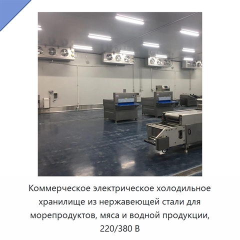 Коммерческое электрическое холодильное хранилище из нержавеющей стали для морепродуктов, мяса и водной продукции, 220/380 В