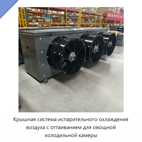 Крышная система испарительного охлаждения воздуха с оттаиванием для овощной холодильной камеры