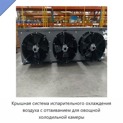 Крышная система испарительного охлаждения воздуха с оттаиванием для овощной холодильной камеры