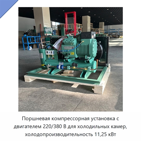 Поршневая компрессорная установка с двигателем 220/380 В для холодильных камер, холодопроизводительность 11,25 кВт