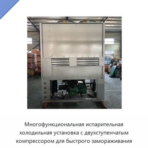 Многофункциональная испарительная холодильная установка с двухступенчатым компрессором для быстрого замораживания