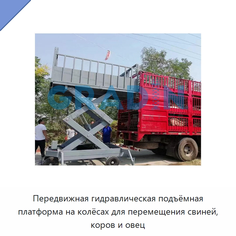 Передвижная гидравлическая подъёмная платформа на колёсах для перемещения свиней, коров и овец — Подъемные столы