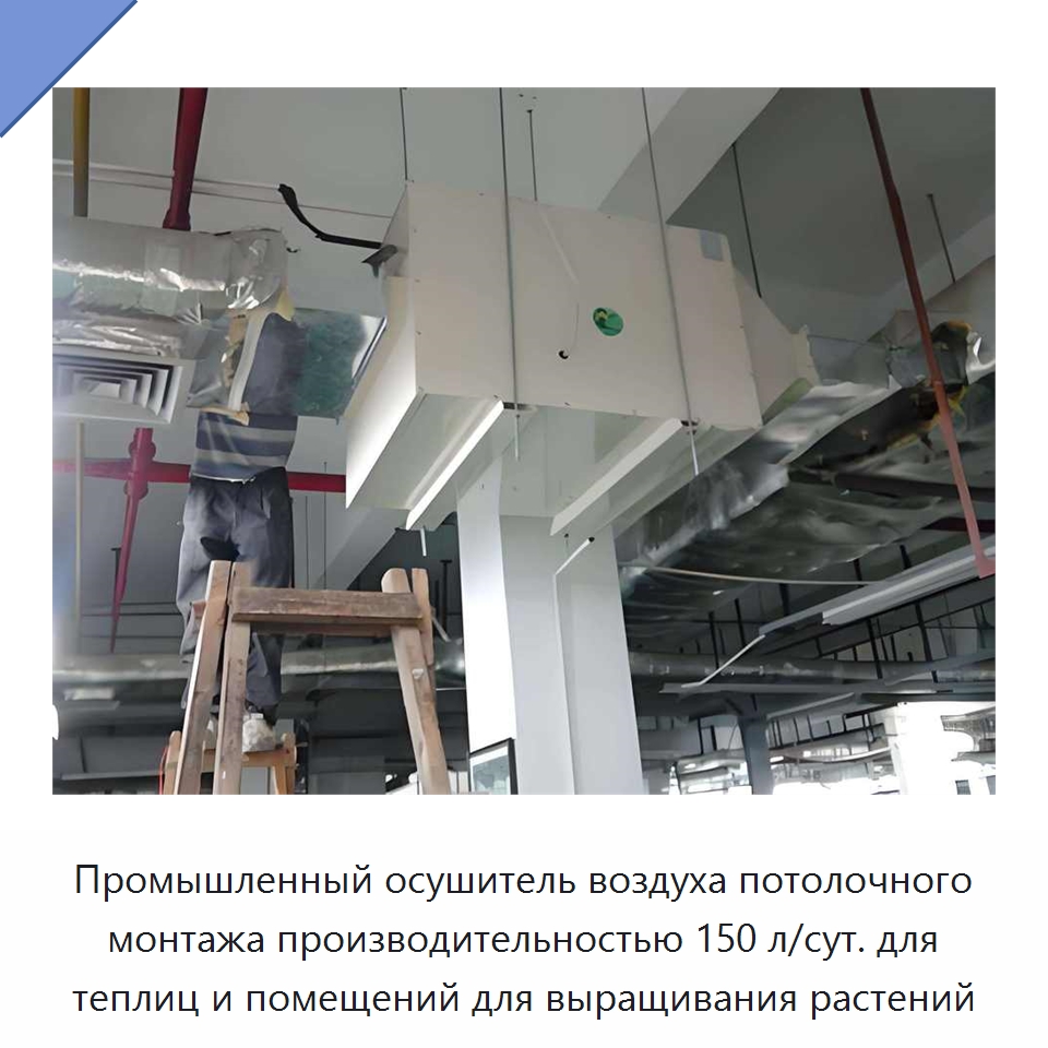 Промышленный осушитель воздуха потолочного монтажа производительностью 150 л/сут. для теплиц и помещений для выращивания растений