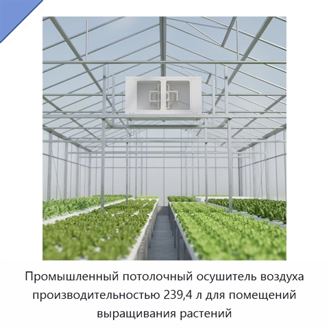 Промышленный потолочный осушитель воздуха производительностью 239,4 л для помещений выращивания растений