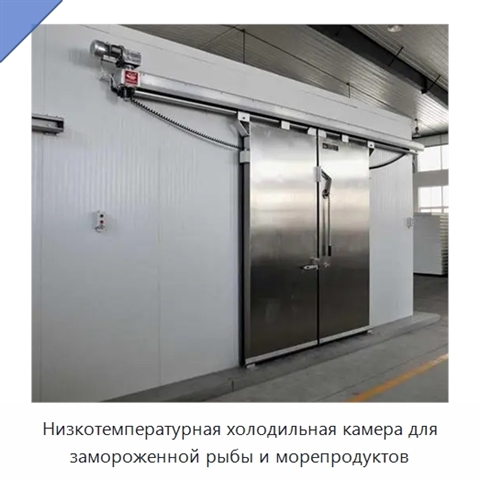 Низкотемпературная холодильная камера для замороженной рыбы и морепродуктов