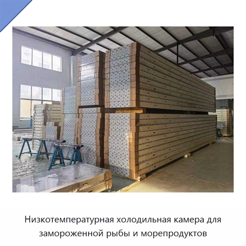 Низкотемпературная холодильная камера для замороженной рыбы и морепродуктов