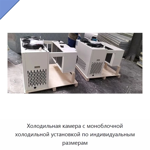 Холодильная камера с моноблочной холодильной установкой по индивидуальным размерам