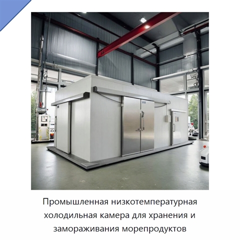 Промышленная низкотемпературная холодильная камера для хранения и замораживания морепродуктов