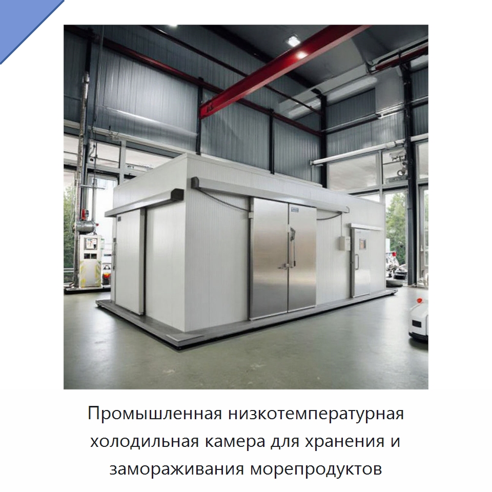 Промышленная низкотемпературная холодильная камера для хранения и замораживания морепродуктов