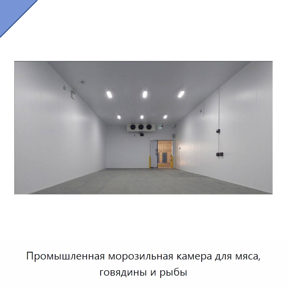Промышленная морозильная камера для мяса, говядины и рыбы