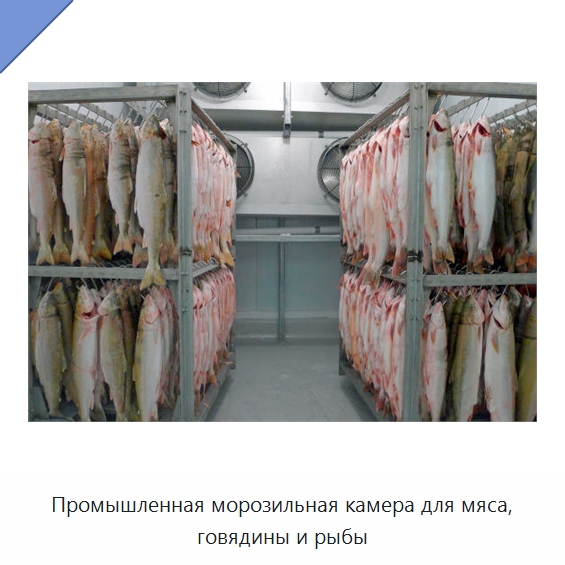 Промышленная морозильная камера для мяса, говядины и рыбы