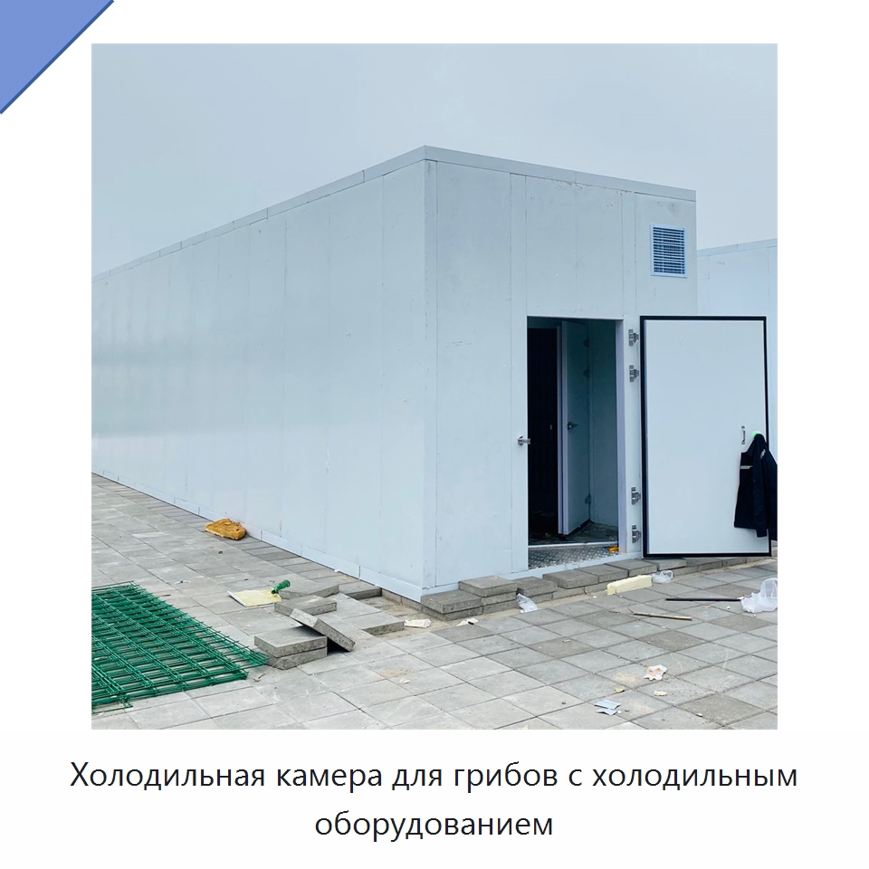Холодильная камера для грибов с холодильным оборудованием