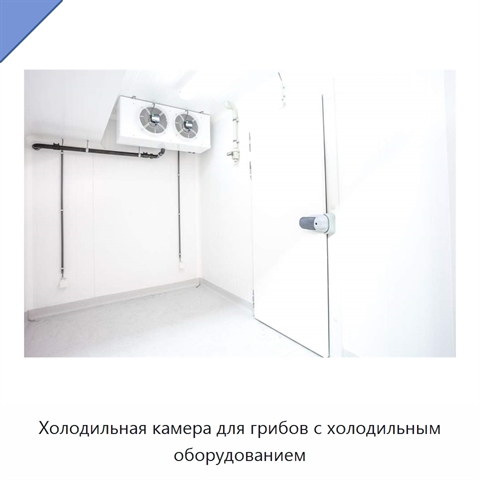 Холодильная камера для грибов с холодильным оборудованием