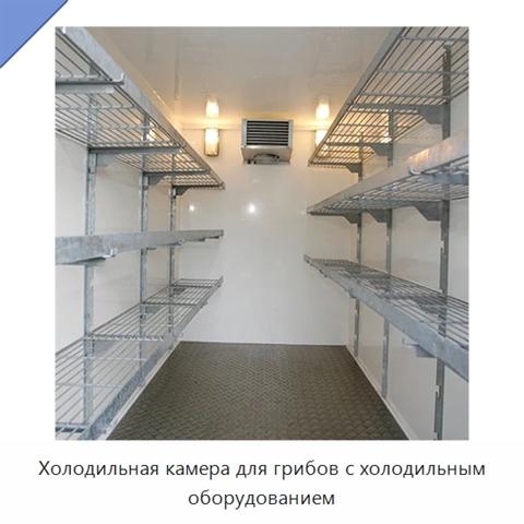 Холодильная камера для грибов с холодильным оборудованием