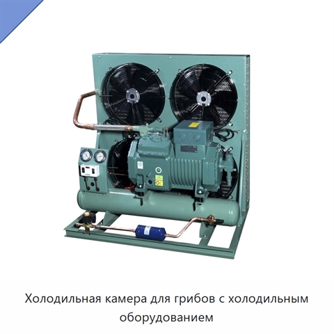 Холодильная камера для грибов с холодильным оборудованием