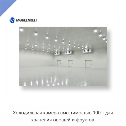Холодильная камера вместимостью 100 т для хранения овощей и фруктов
