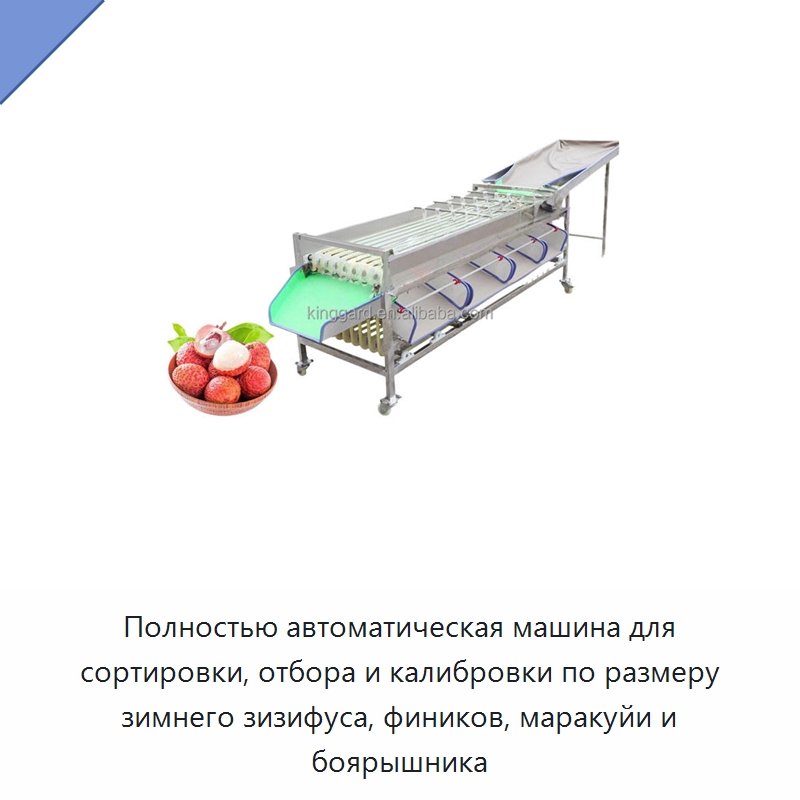 Полностью автоматическая машина для сортировки, отбора и калибровки по размеру зимнего зизифуса, фиников, маракуйи и боярышника